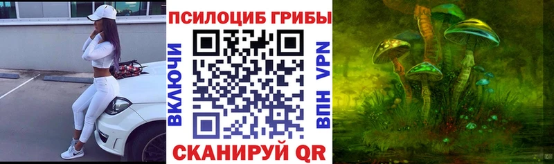 Купить закладки  Майкоп  Галлюциногенные грибы прущие грибы 
