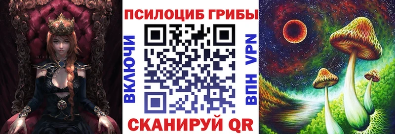 Галлюциногенные грибы Psilocybine cubensis Майкоп